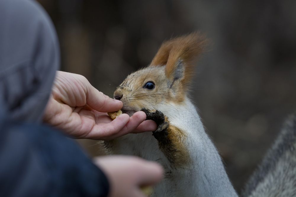 Photograph by Александр Перегудов