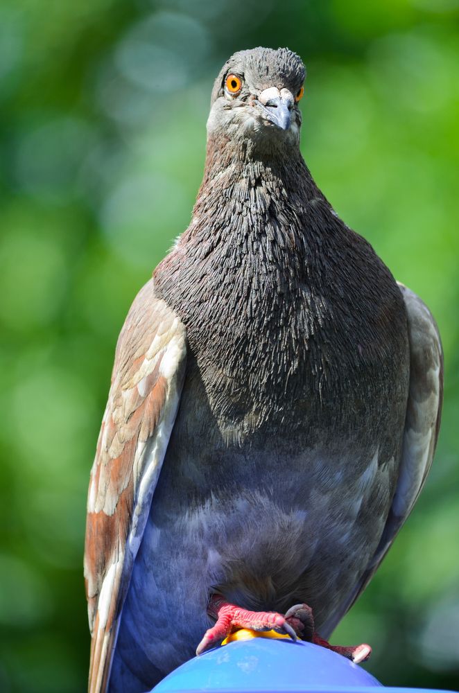 Photograph by Анна Потапова