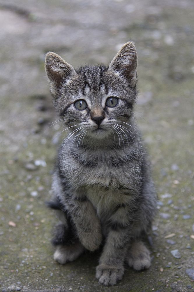 Photograph by Анастасия Северюхина