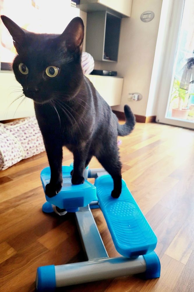 Photograph by claudia