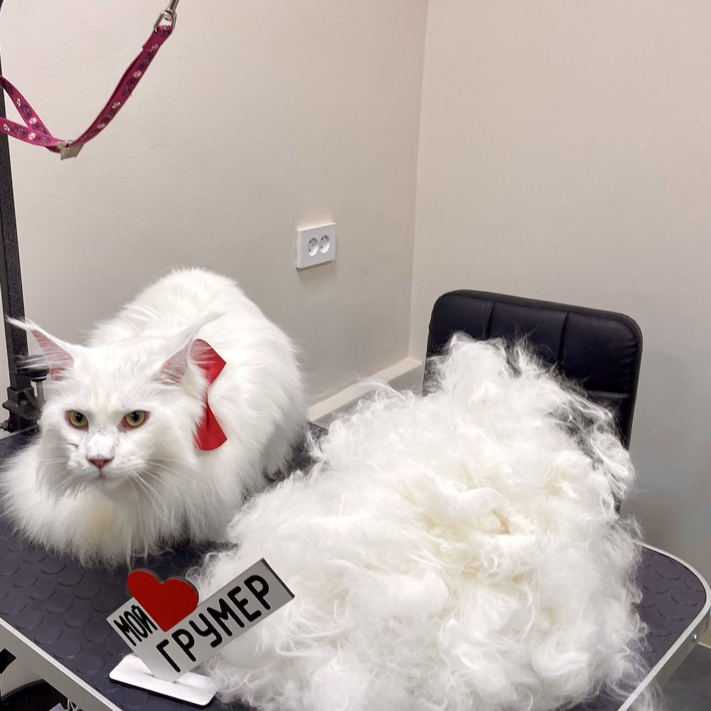 Photograph by Alina Andreevna