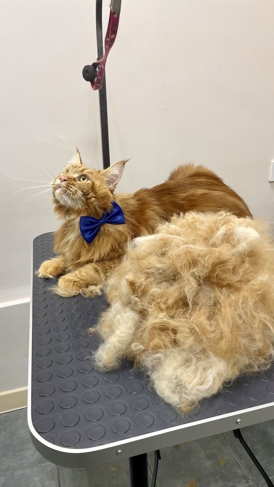 Photograph by Alina Andreevna