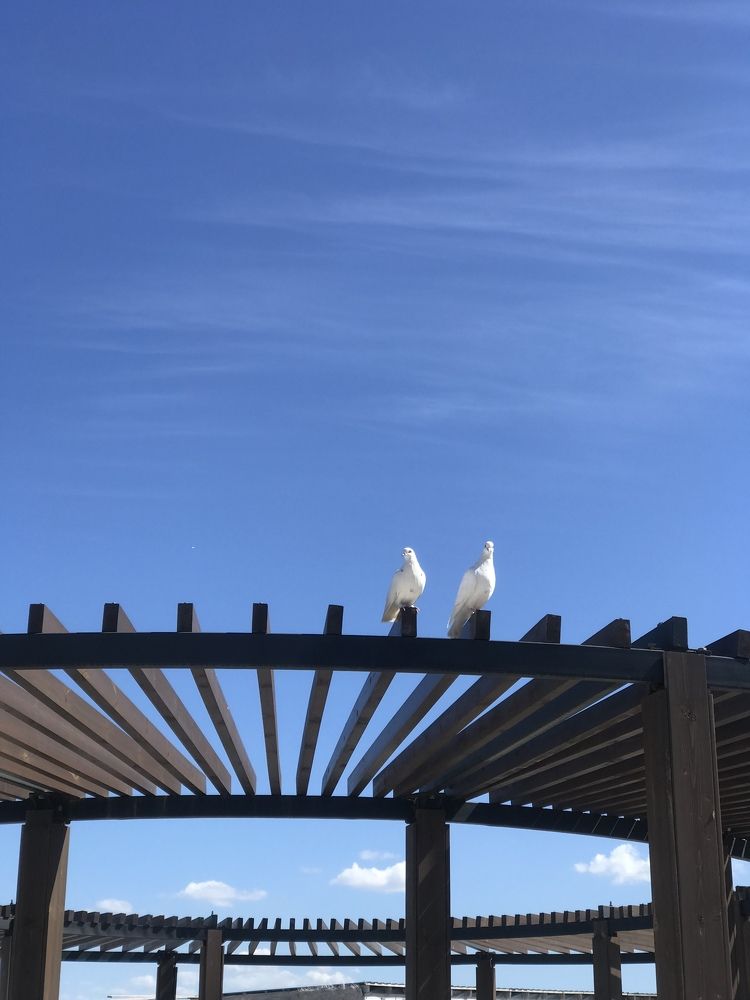 Photograph by Ольга Солодилова