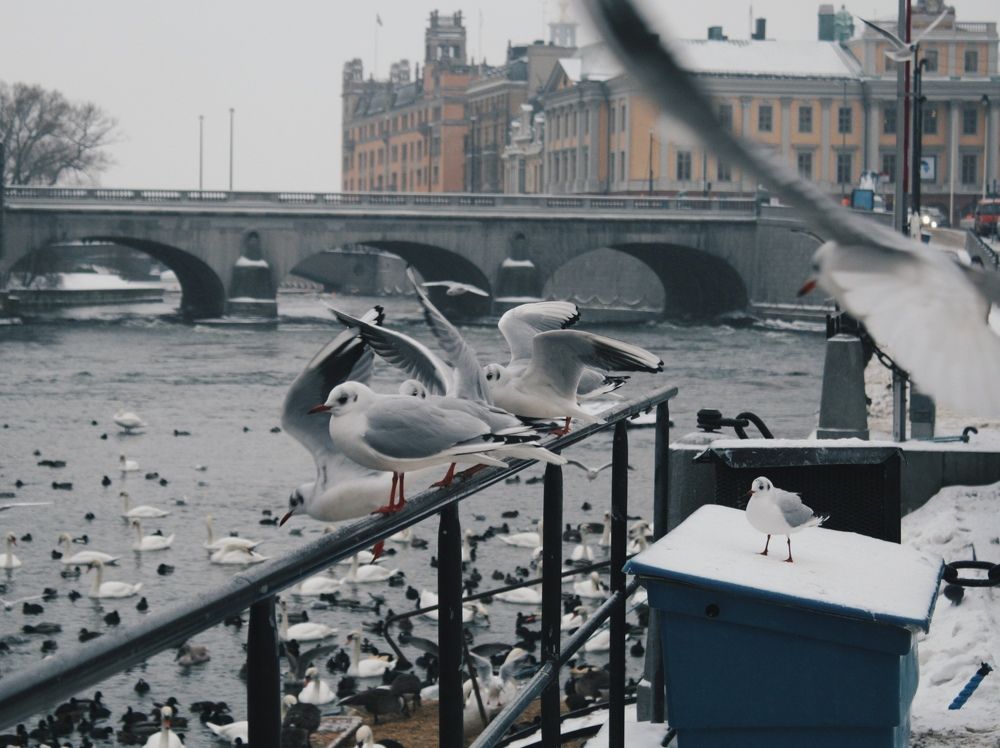 Photograph by Анастасия Свиридова