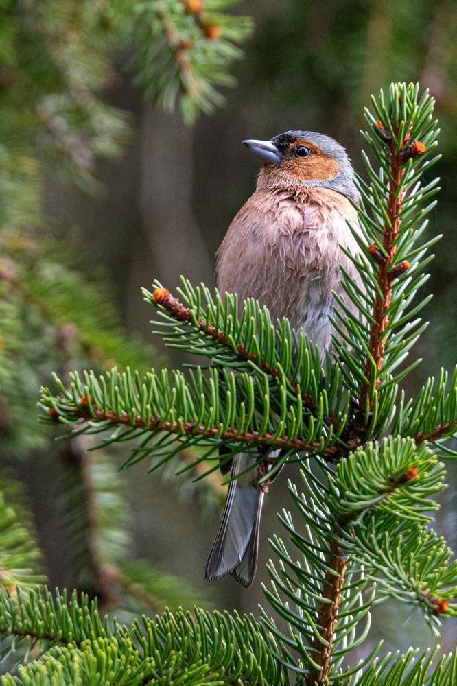Photograph by Дмитрий Константинов