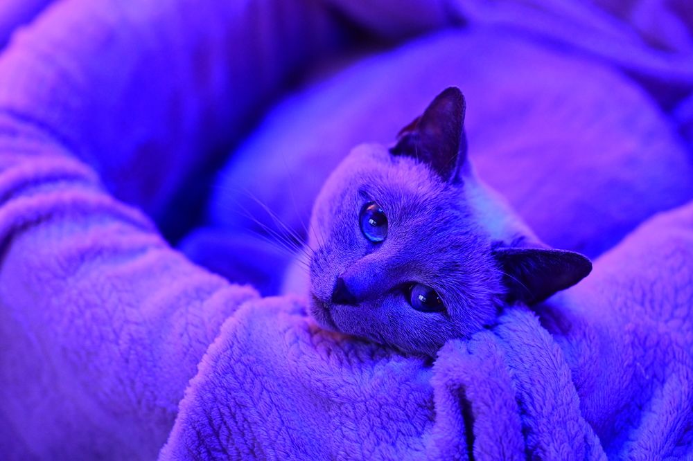 Photograph by Наталия Моргунова