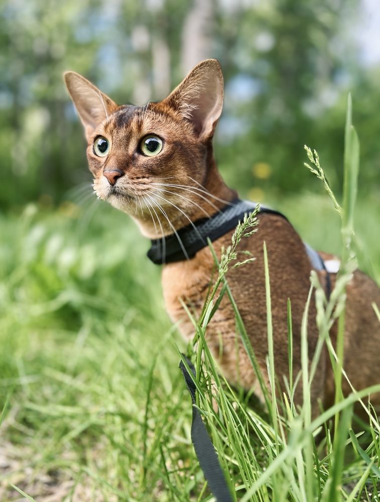 Photograph by Ekaterina Chernyshova