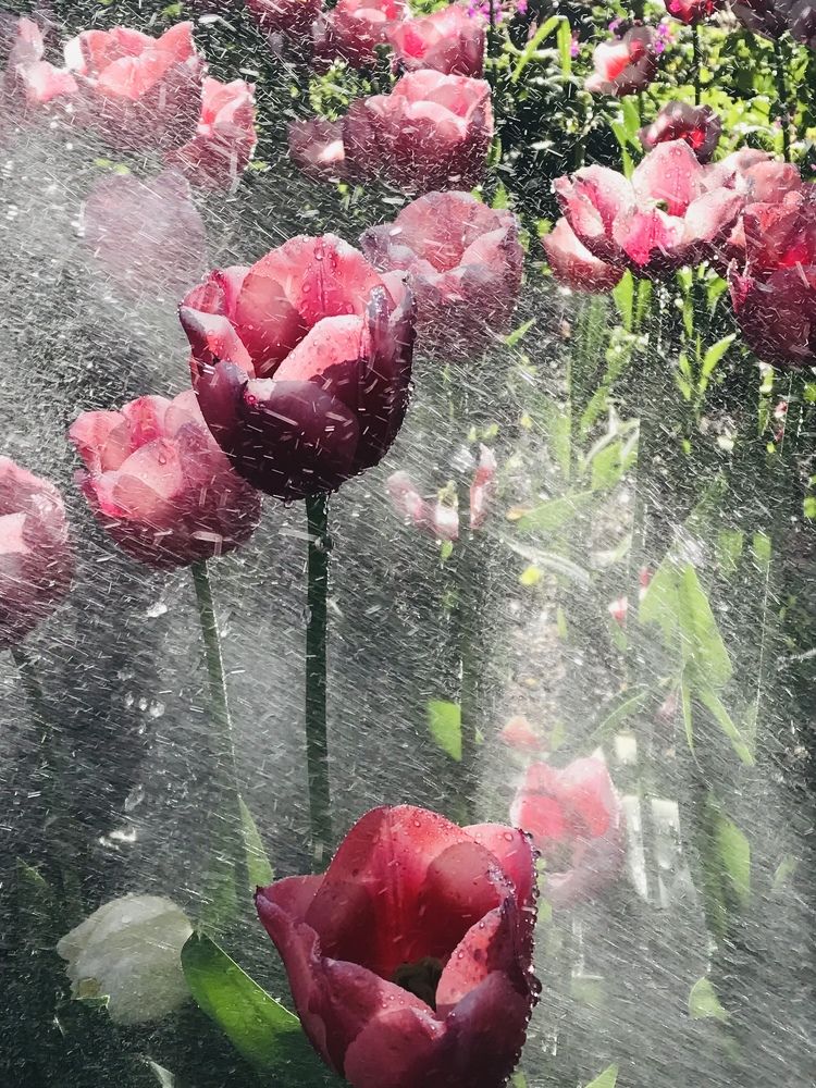 Photograph by Ольга Солодилова