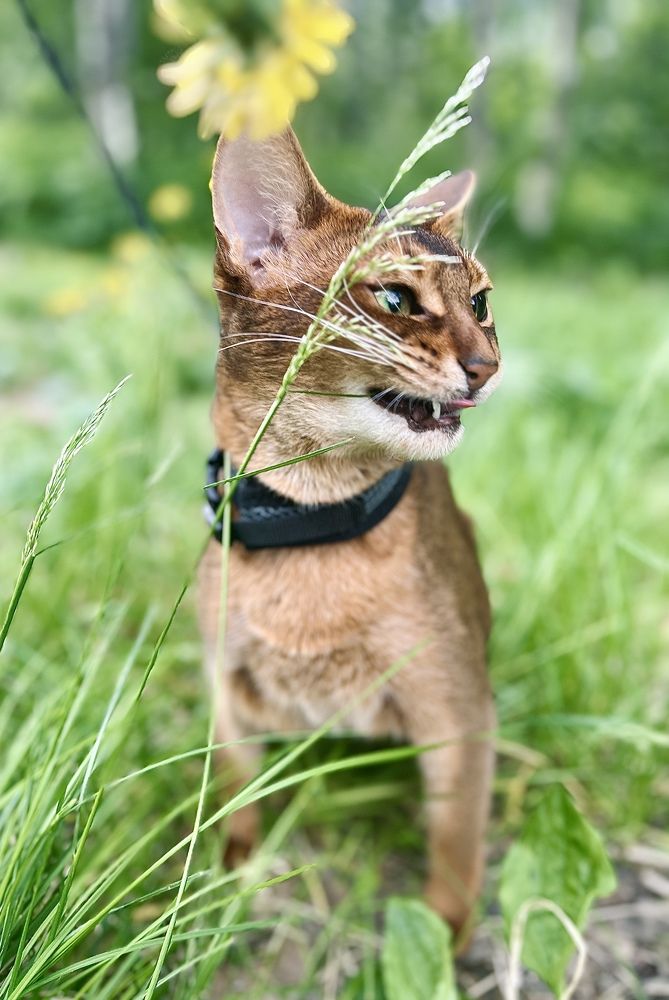 Photograph by Ekaterina Chernyshova