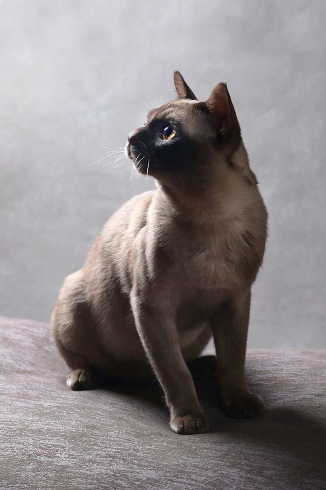 Photograph by Наталия Моргунова