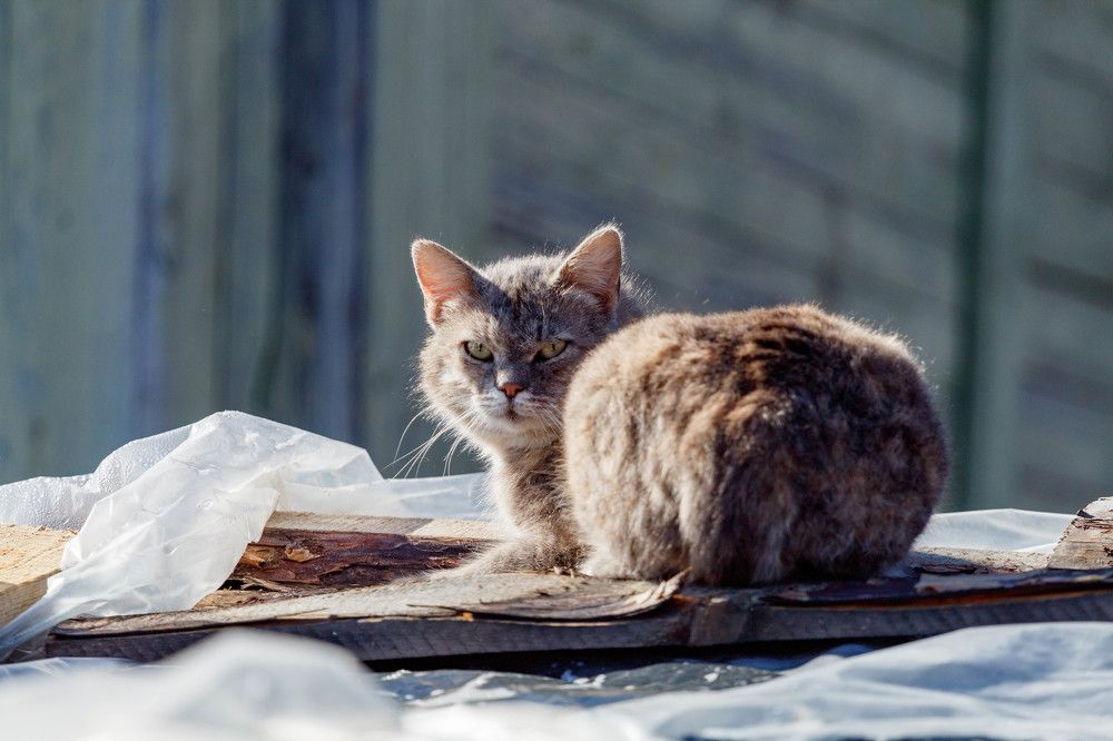 Photograph by Наталья Войтеховская