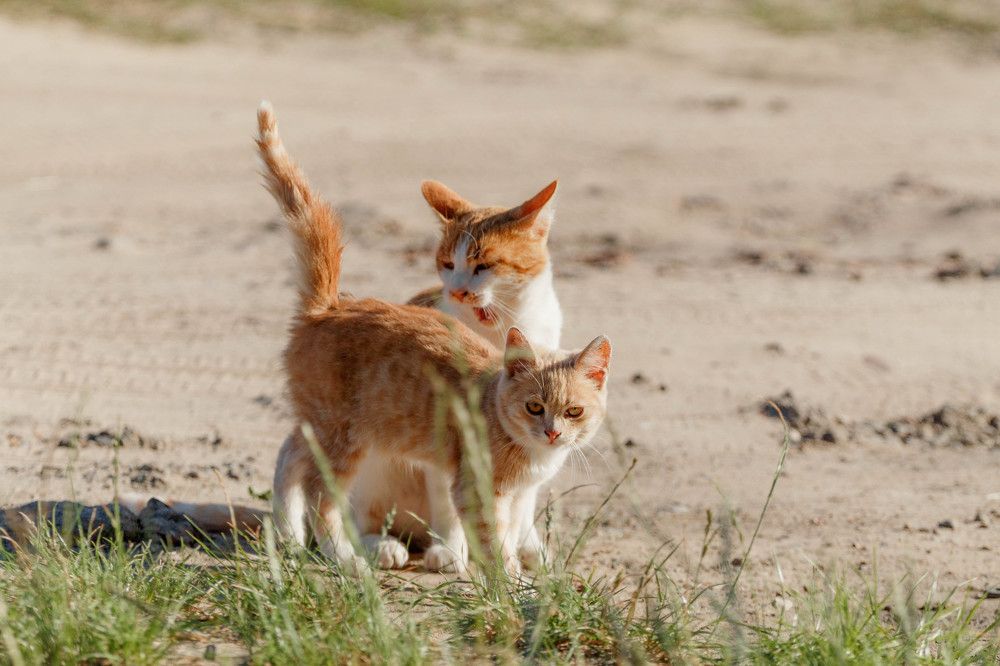 Photograph by Наталья Войтеховская