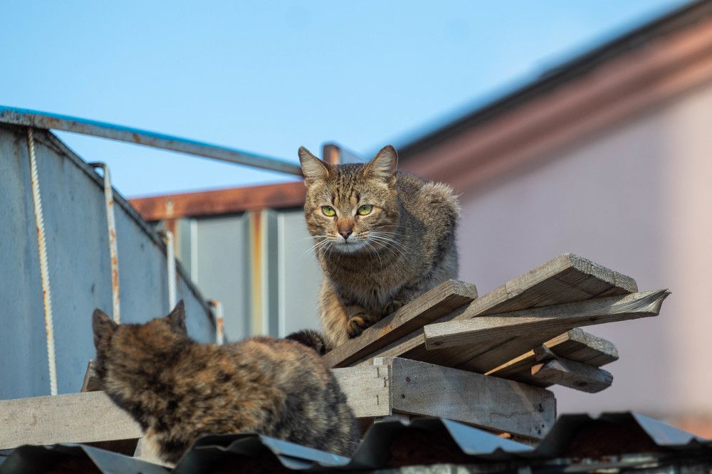 Photograph by Наталья Войтеховская