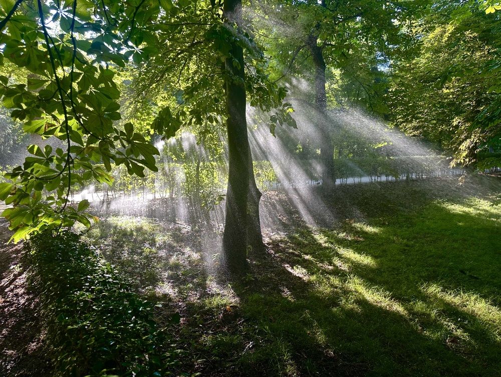 Photograph by Javier Subiza Garrido-Lestache