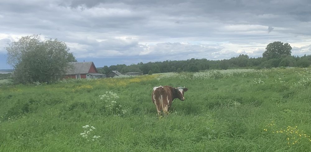 Photograph by Ольга