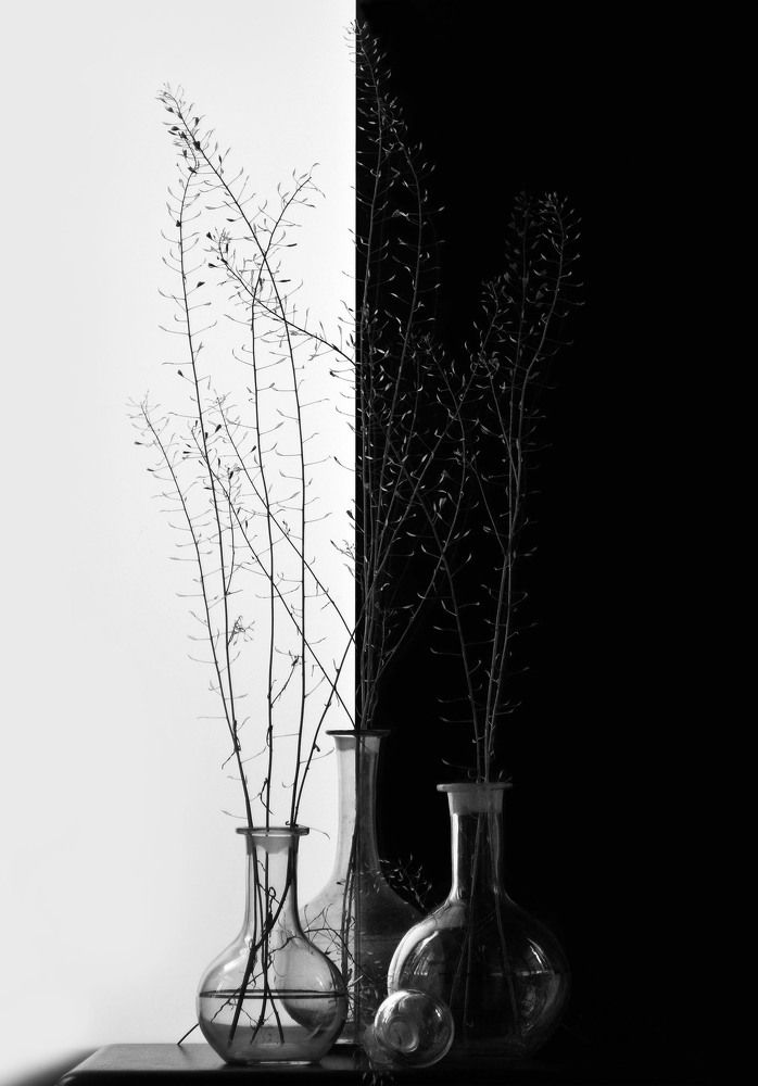 Photograph by Александр Зарх