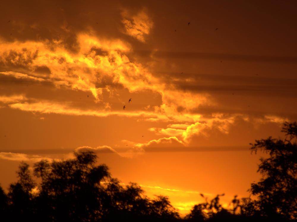 Photograph by Татьяна Стаскевич