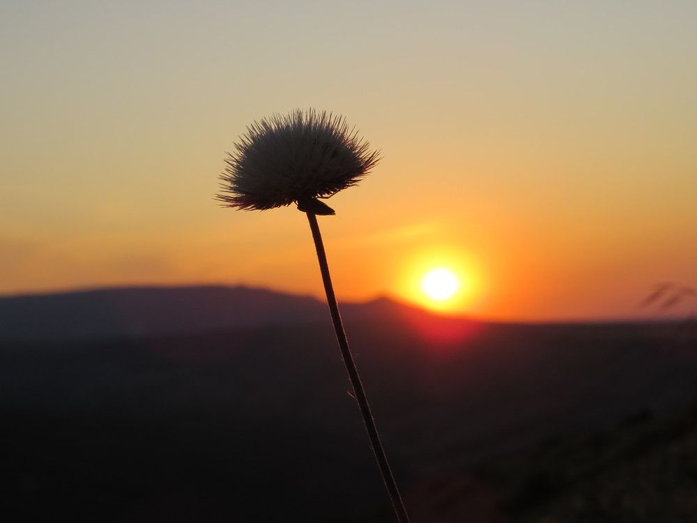 Photograph by Татьяна Стаскевич