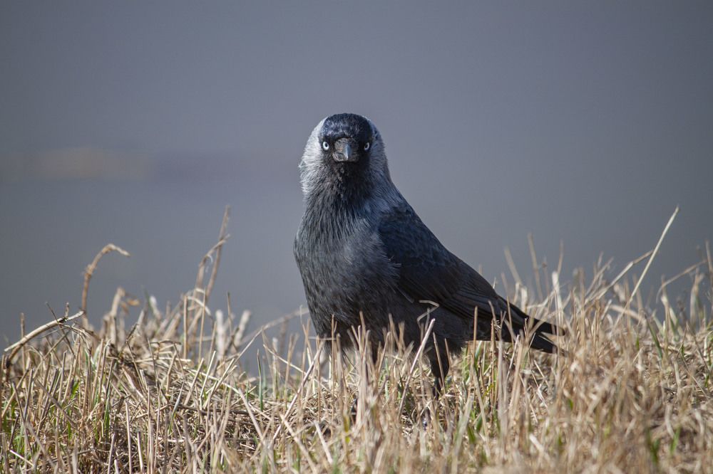 Photograph by Владислав Капанов