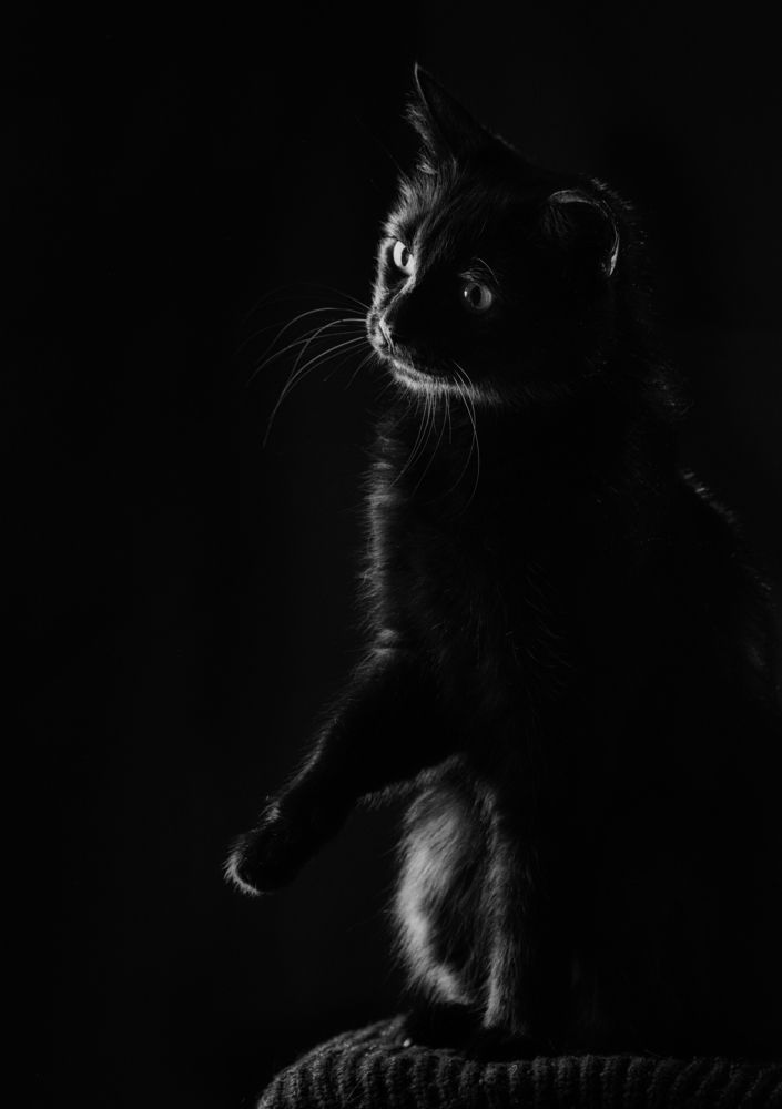 Photograph by Евгения Прокопович