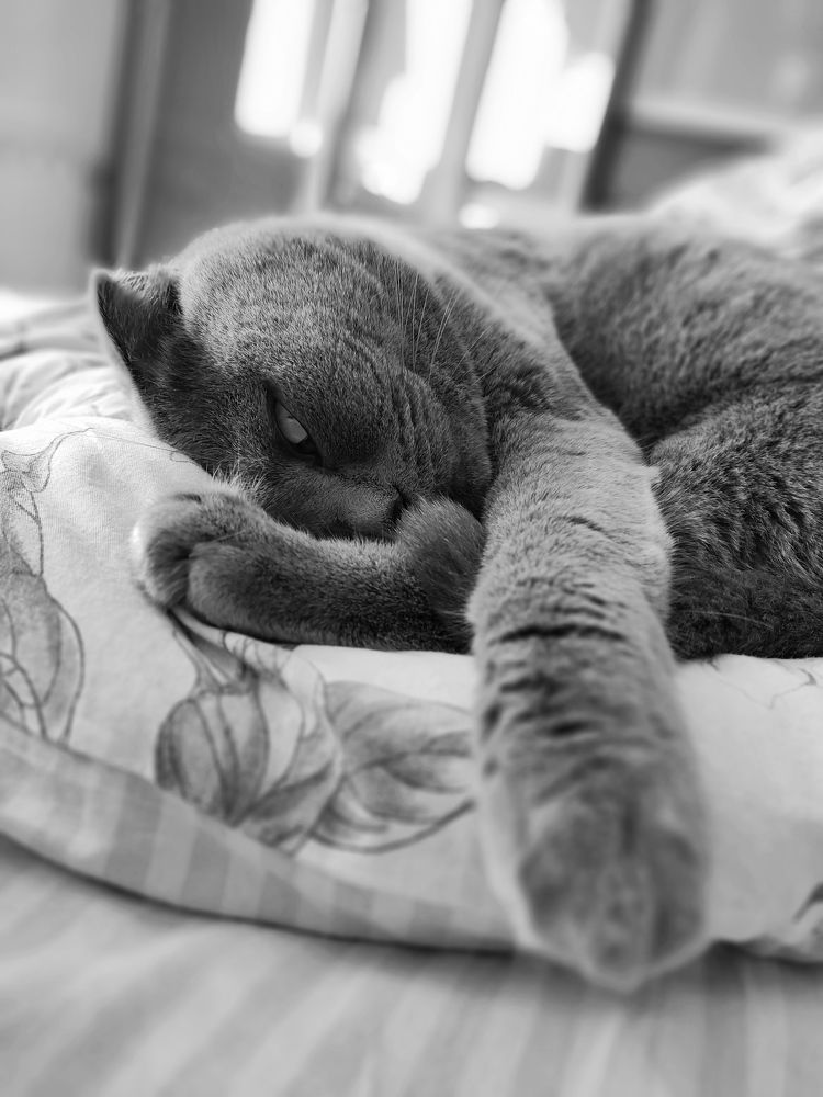 Photograph by Иван