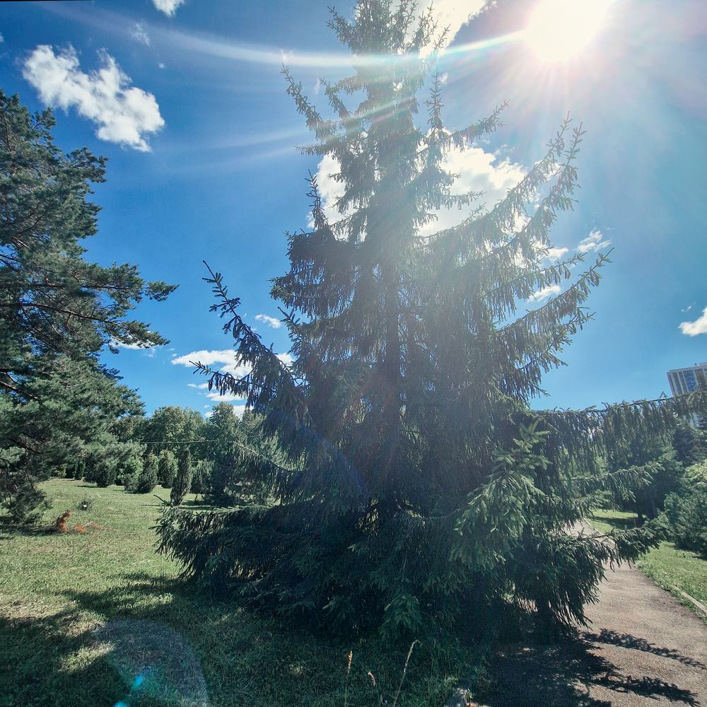 Photograph by Тамара Вотинцева