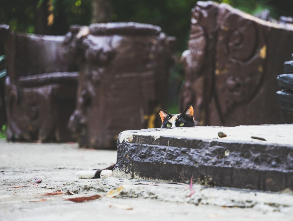 Photograph by Даниил Свиридов