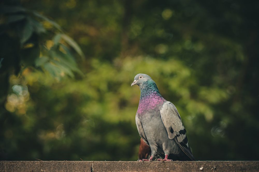 Photograph by Nik Vavilov