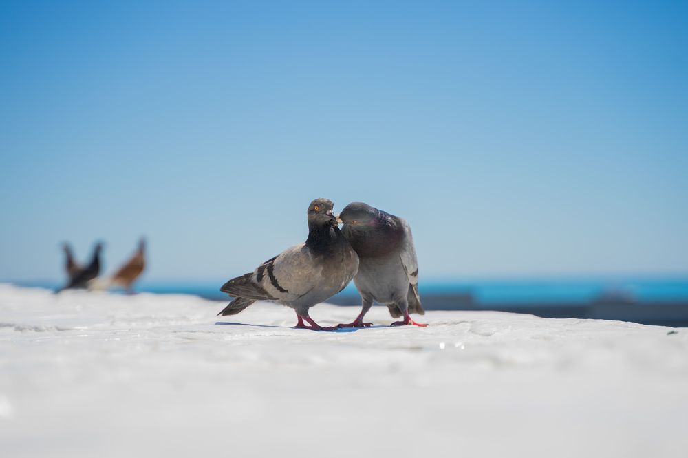 Photograph by Даниил Свиридов