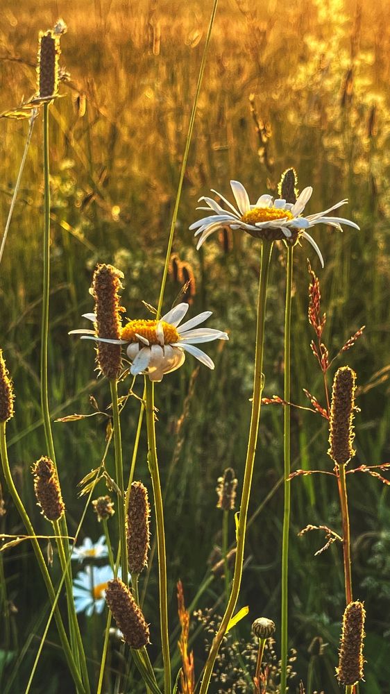 Photograph by Юлия Ковальчук