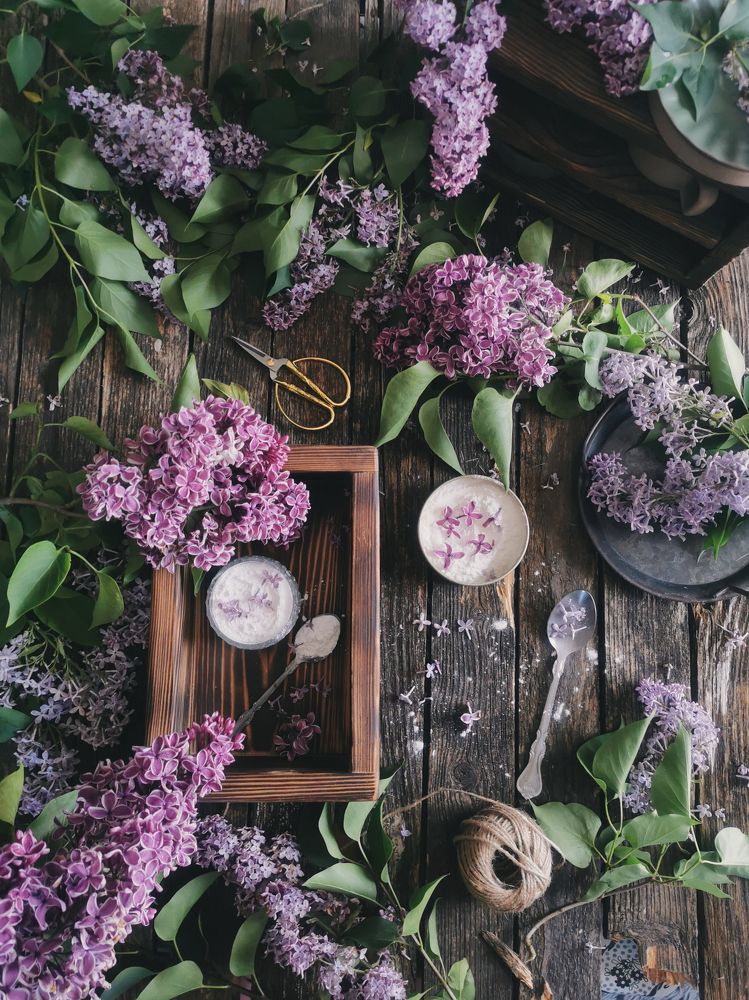 Photograph by Дарья Гомза