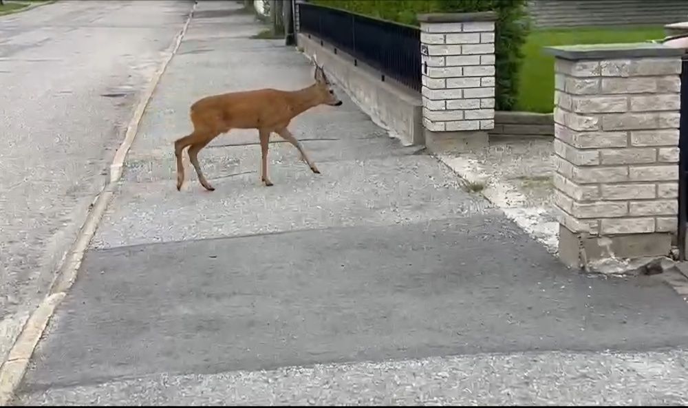 Photograph by Максим Иванов