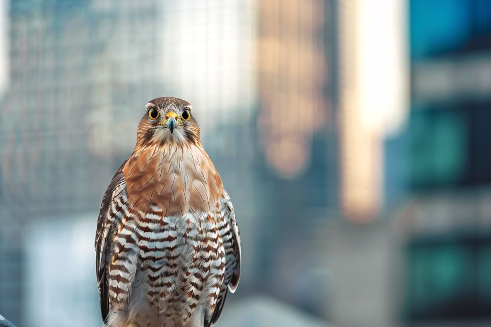 Photograph by Татьяна Бравая