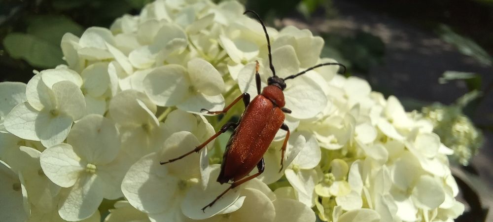 Photograph by Ирина Архипова