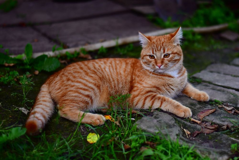 Photograph by Николай Абакумов