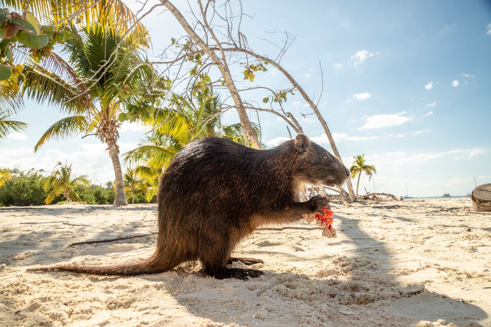 Photograph by Илья Юфа