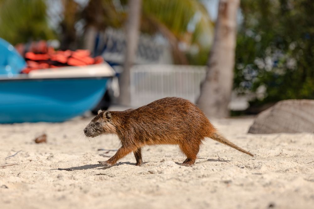 Photograph by Илья Юфа