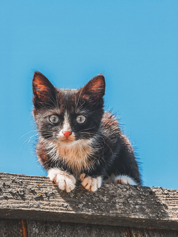 Photograph by Екатерина Савеня