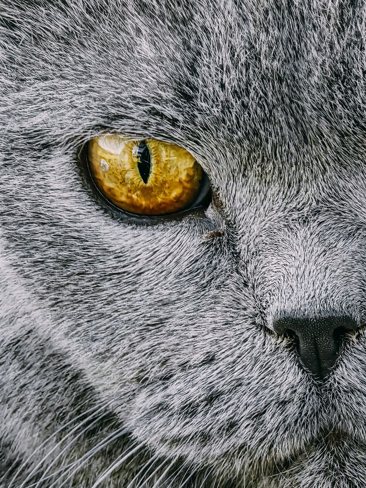 Photograph by Екатерина Савеня