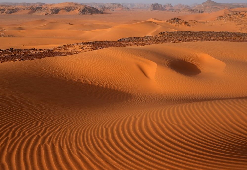 Photograph by Alexandr