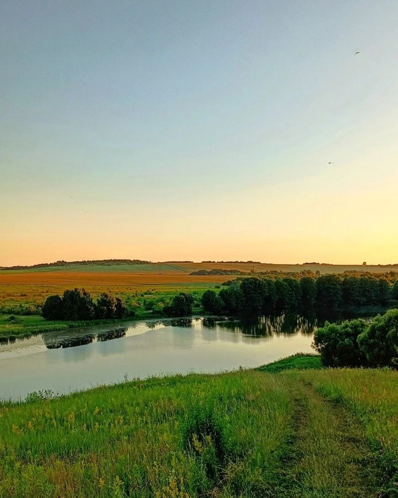 Летний вечер