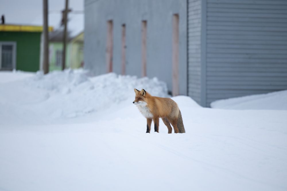 Photograph by Илья Юфа