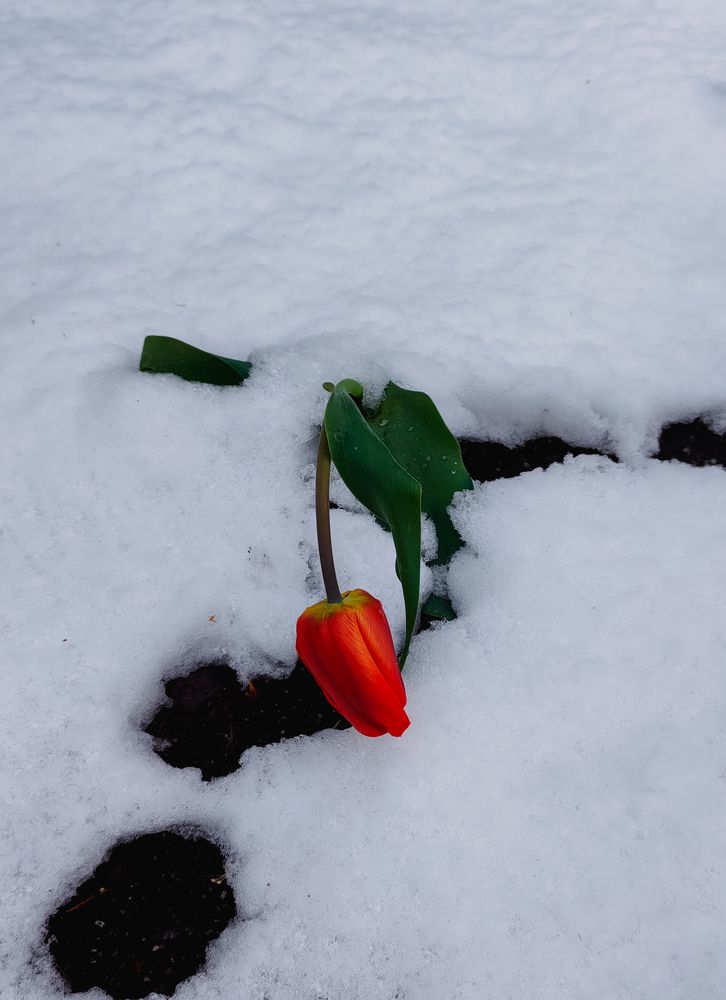 Photograph by Ксения Тенькина