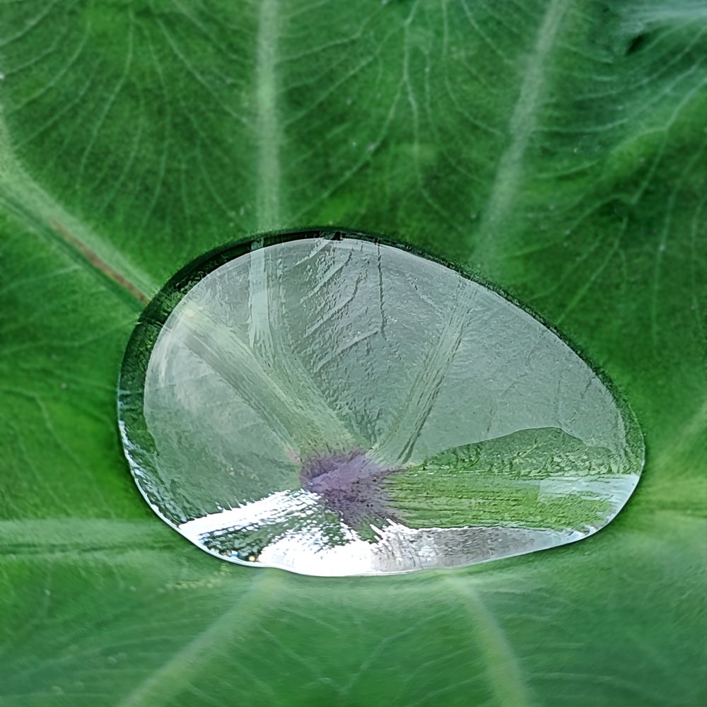 Фотография автора Jeff Cooley