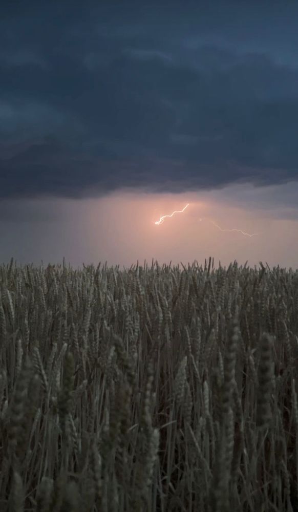 Photograph by Елена Квинт