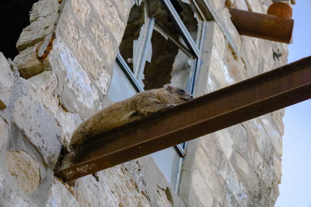 Photograph by Sharone