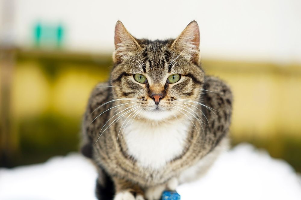 Photograph by Руслан Лазарев