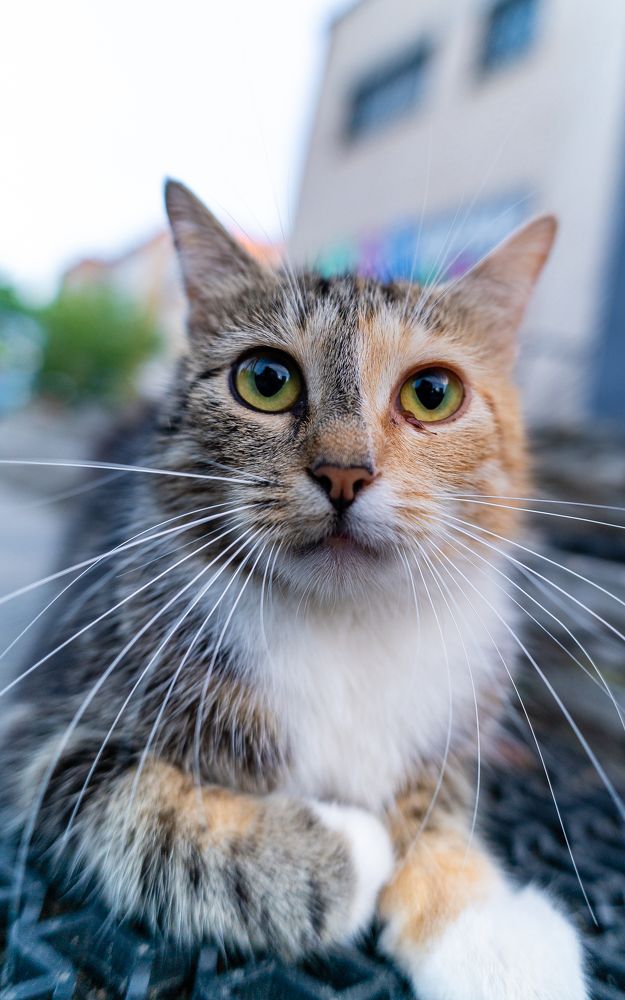 Photograph by Руслан Лазарев