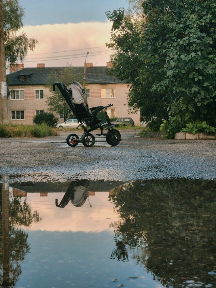 Фотография автора Соколова Ксения