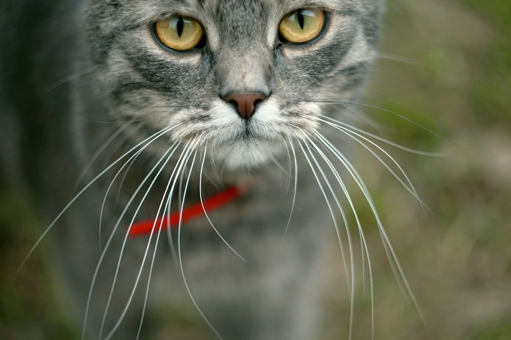 Photograph by Руслан Лазарев